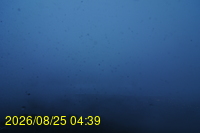Img20260825_043927.jpg