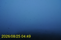 Img20260825_044927.jpg