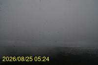 Img20260825_052427.jpg