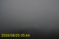 Img20260825_054427.jpg