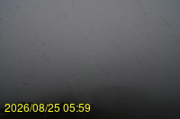 Img20260825_055927.jpg