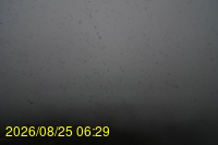 Img20260825_062927.jpg