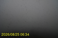 Img20260825_063427.jpg