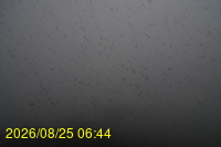 Img20260825_064427.jpg