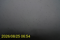Img20260825_065427.jpg