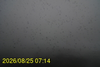Img20260825_071427.jpg