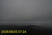 Img20260825_072428.jpg