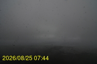 Img20260825_074428.jpg