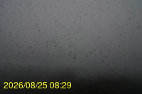 Img20260825_082928.jpg