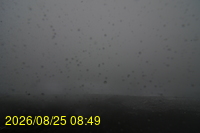Img20260825_084928.jpg