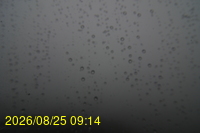 Img20260825_091428.jpg