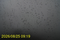 Img20260825_091928.jpg