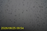 Img20260825_095428.jpg