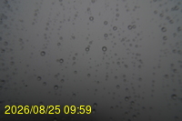 Img20260825_095928.jpg