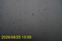 Img20260825_100928.jpg
