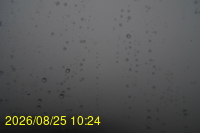 Img20260825_102428.jpg