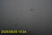 Img20260825_103428.jpg