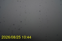 Img20260825_104428.jpg