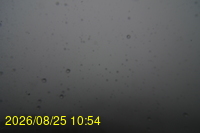 Img20260825_105428.jpg