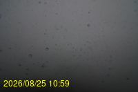Img20260825_105928.jpg