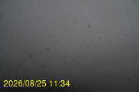 Img20260825_113428.jpg