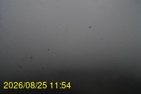 Img20260825_115428.jpg