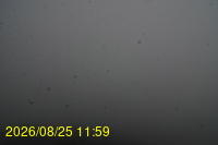 Img20260825_115928.jpg