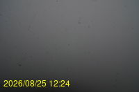 Img20260825_122428.jpg