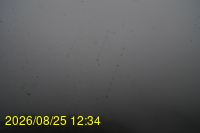 Img20260825_123428.jpg