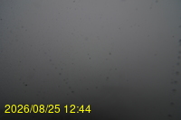 Img20260825_124428.jpg