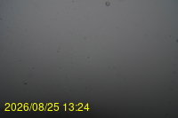 Img20260825_132429.jpg