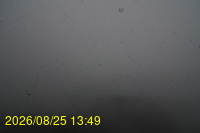 Img20260825_134929.jpg