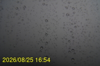 Img20260825_165429.jpg