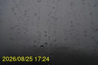 Img20260825_172429.jpg