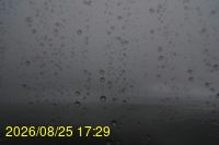 Img20260825_172929.jpg