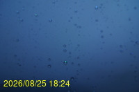 Img20260825_182429.jpg