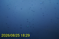 Img20260825_182930.jpg