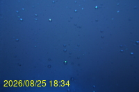Img20260825_183430.jpg
