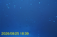 Img20260825_183930.jpg