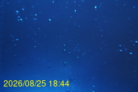 Img20260825_184430.jpg