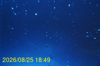 Img20260825_184930.jpg