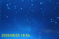 Img20260825_185430.jpg
