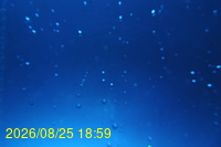 Img20260825_185930.jpg