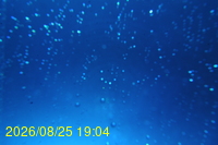 Img20260825_190430.jpg