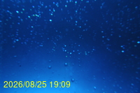 Img20260825_190930.jpg