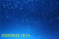 Img20260825_191430.jpg