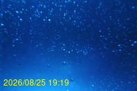 Img20260825_191930.jpg
