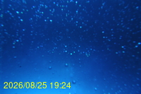 Img20260825_192430.jpg