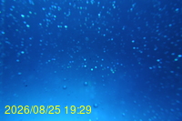 Img20260825_192930.jpg