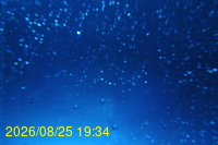 Img20260825_193430.jpg